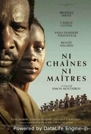 Ни цепей, ни хозяев